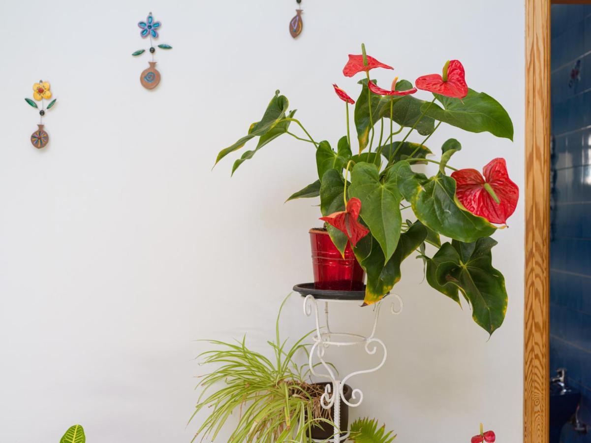 Agaete Pupe Home By Canariasgetaway Zewnętrze zdjęcie